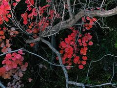 -八达岭长城