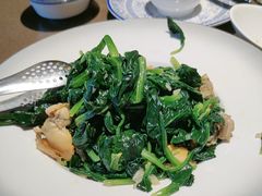 -福来齐·鲁菜海鲜·渔家菜(朝阳街分店)