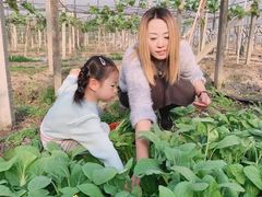 -美家乐农庄·露营·团建(大治路店)