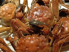 -星伦多自助料理(爱琴海店)