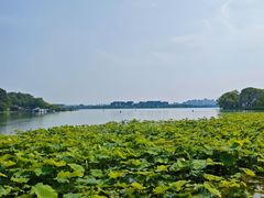 -金鸡湖桃花岛