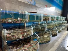 -蓝珊甄选海鲜自助·火锅大排档(近阿那亚店)
