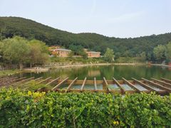 -北马山庄植趣咖啡
