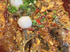 -鱼酷活鱼烤鱼(沈阳大悦城店)