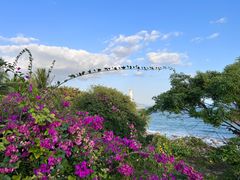 -三亚南山文化旅游区