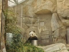 -香港海洋公园
