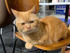 -上海三联书店READWAY(华中首店)