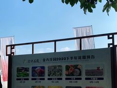 -金卉庄园