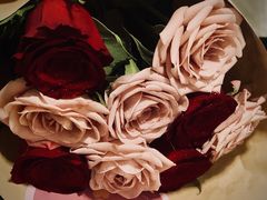 -爱尚幸福鲜花(上地实体店)