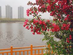 -长白岛森林公园