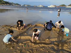 -大京沙滩