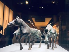 -邯郸市博物馆(新馆)