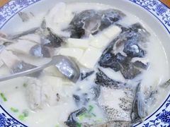 -全乐鱼馆·淳牌有机鱼直营店