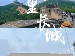 -陈记卤煮小肠