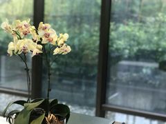 -上海崇明金茂凯悦酒店