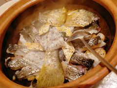 -人间采蜜(海信广场店)