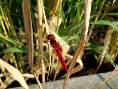 -中关村生命科学园