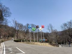 -南京老山国家森林公园