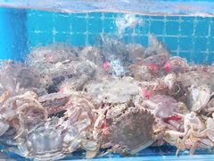 -蓝珊甄选海鲜自助·火锅大排档(近阿那亚店)