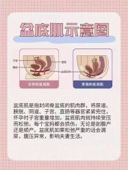 -产后帮产后修复(首城国际店)