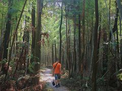 -象山森林公园