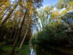 -上海共青森林公园