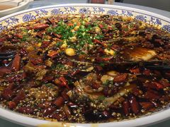 来凤鱼-新概念来凤鱼(璧山店)