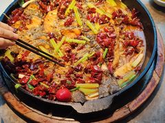 -老板恋上鱼(恒隆广场店)