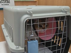 -联合动物医院(光谷诊疗中心)