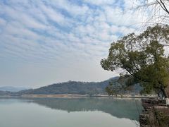 -东钱湖小普陀景区