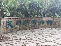 -天目湖山水园