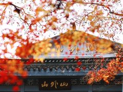 -山外山菜馆(玉泉路店)