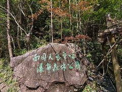 -姑婆山旅游区