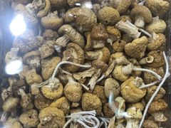 -果蔬好(江南赋店)