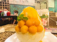 -Fresh Fruit Factory - Fruit Cuisine Restaurant
