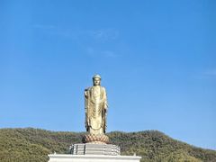 -中原大佛景区