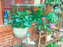 -阿鹏故事云南野生菌火锅(人民路店)