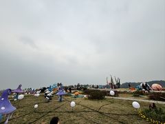 -空港花田景区