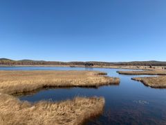 -塞罕坝国家级自然保护区