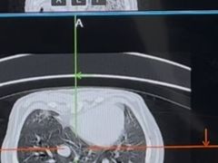 -嘉馨宠物医院·CT影像转诊·心脏科·犬猫全科诊疗中心(下沙大学城院区)