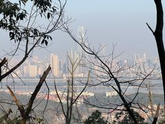 -岳麓山风景名胜区