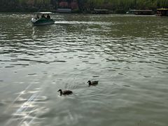 -扬州瘦西湖船宴