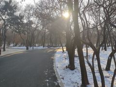 -北陵公园