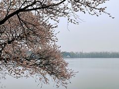 -颐和园