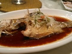 -谭谈川菜(控江路店)