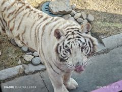 -北京野生动物园