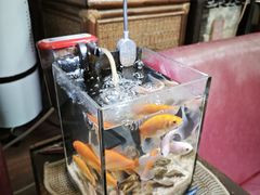 -上楼私房菜(院士路店)