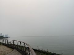-万绿园