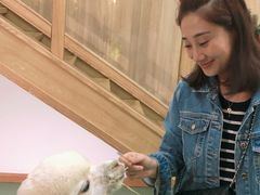 -藦茜花园宠物主题亲子互动体验馆(国顺东路店)