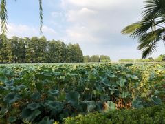-东湖生态旅游风景区